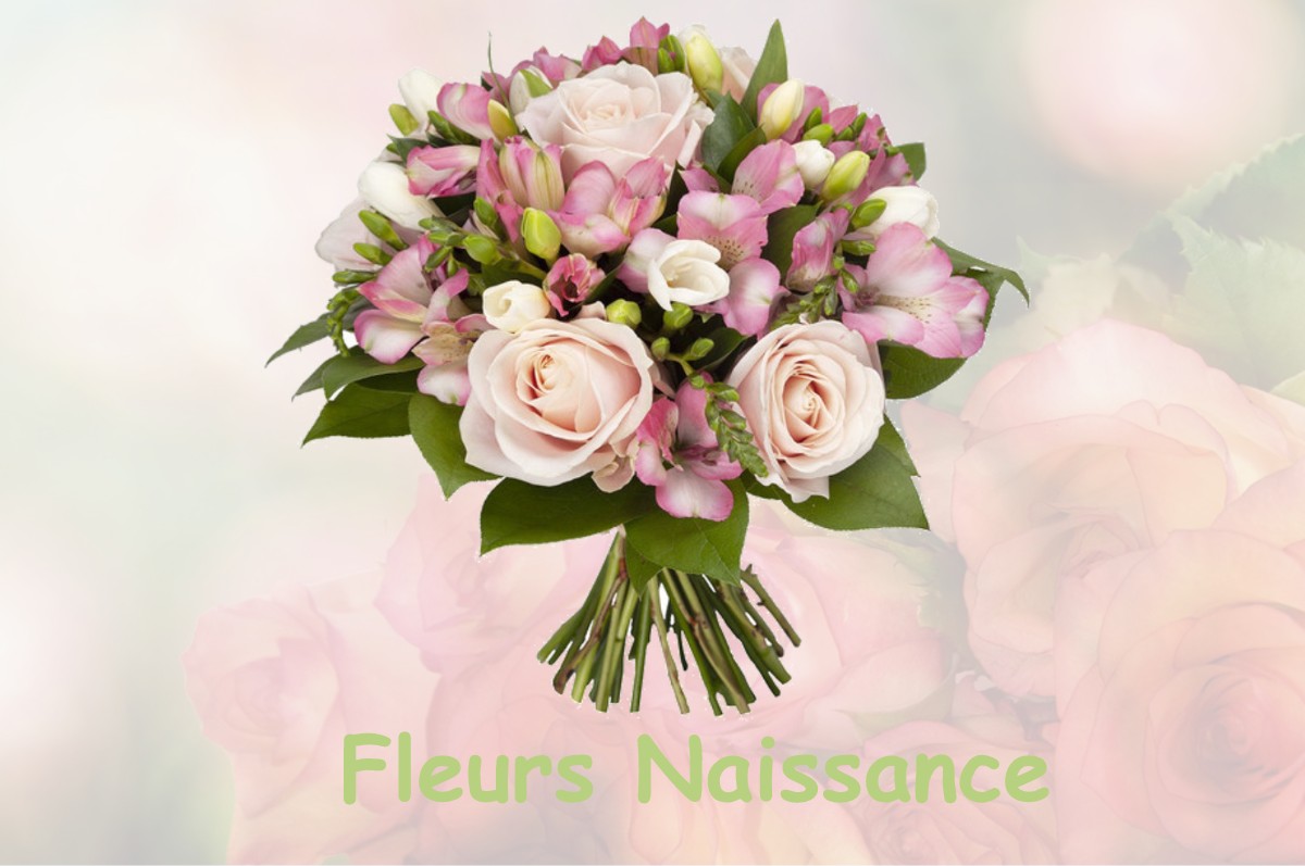 fleurs naissance LA-BAZOUGE-DES-ALLEUX
